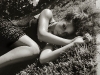 evangeline-lilly