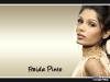 freida-pinto4