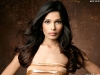 freida-pinto5